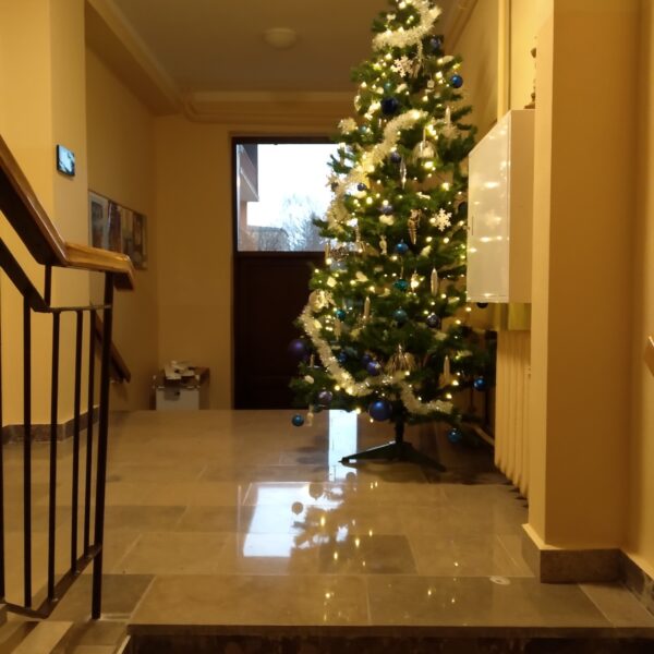 IMG 20181229 140127 600x600