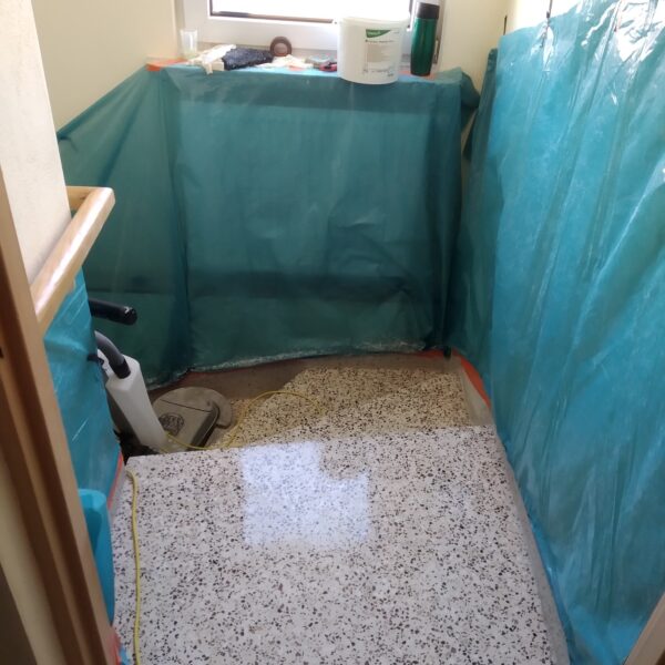 IMG 20190214 150553 600x600