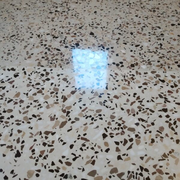 IMG 20190219 162205 600x600