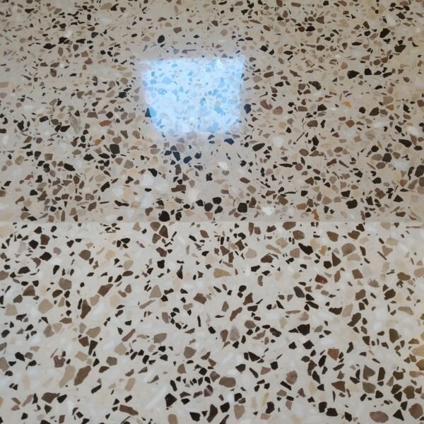 IMG 20190219 162233 600x600