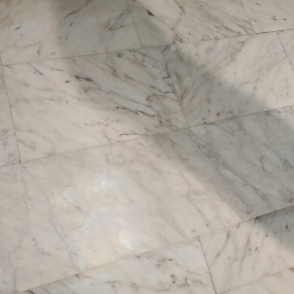 IMG 20190717 155526 600x600