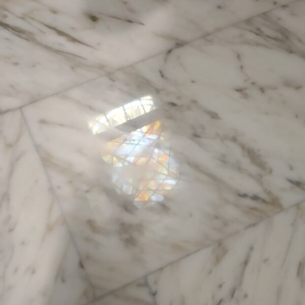 IMG 20190719 120606 600x600