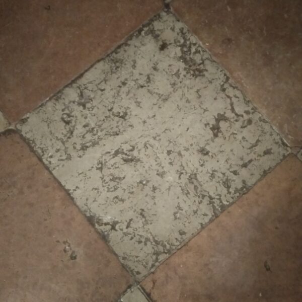 IMG 20190814 152151 600x600