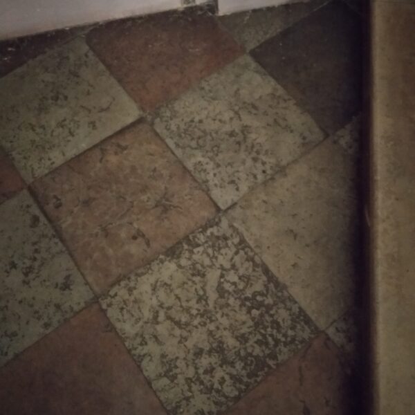 IMG 20190814 152812 600x600