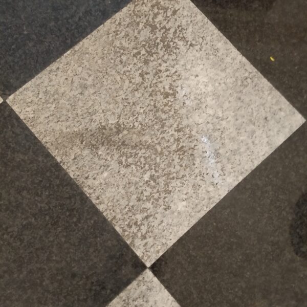 IMG 20191016 113013 600x600